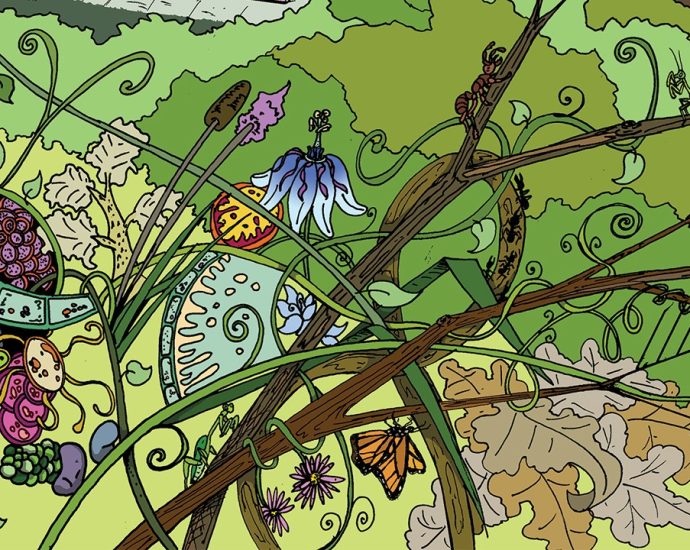 how-did-life-become-something-that-competes-for-resources-and-evolves?