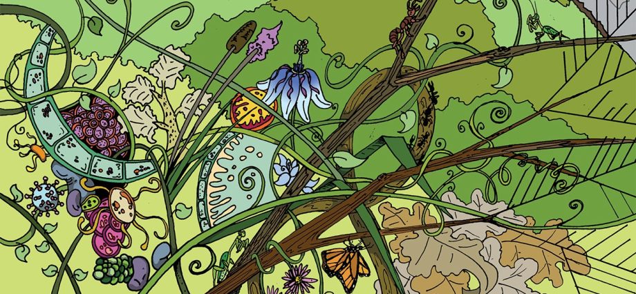 how-did-life-become-something-that-competes-for-resources-and-evolves?
