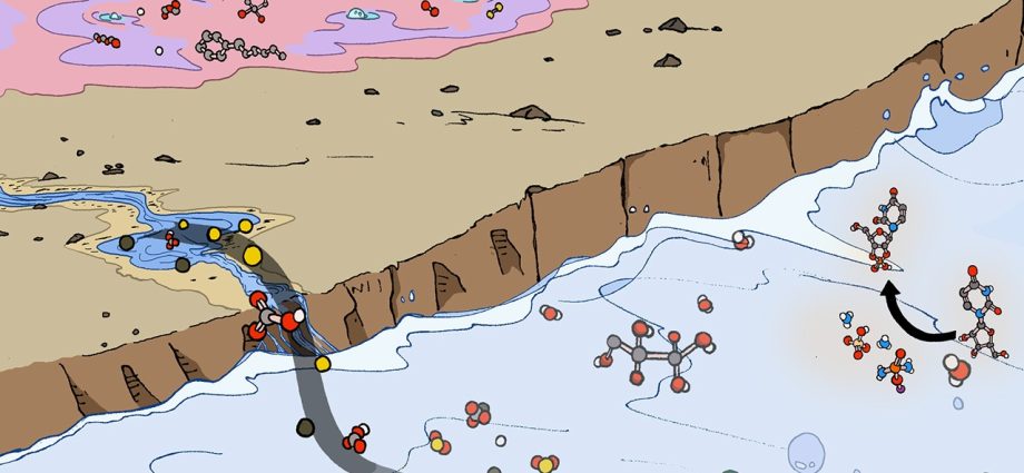 how-did-life-first-emerge-on-earth?