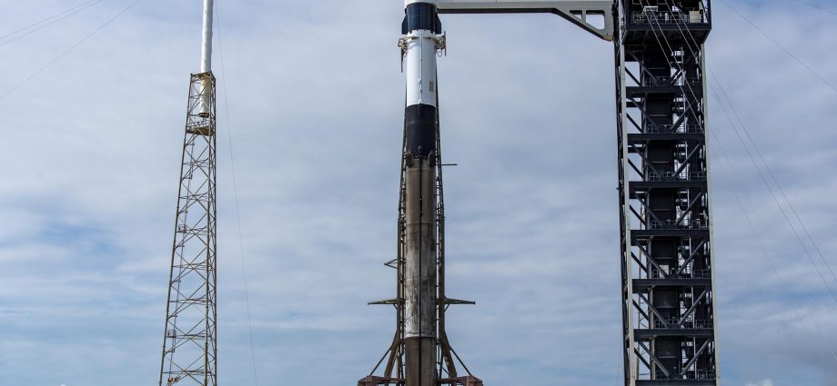 dragon-nears-launch-as-crew-works-biomedical-science-and-spacewalk-preps