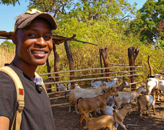 zimbabwe’s-diaspora-reshapes-real-estate-and-farming-investment-trends
