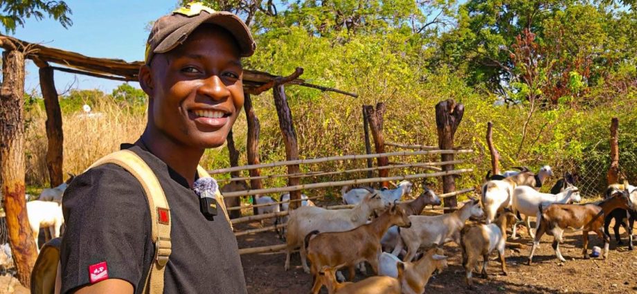 zimbabwe’s-diaspora-reshapes-real-estate-and-farming-investment-trends