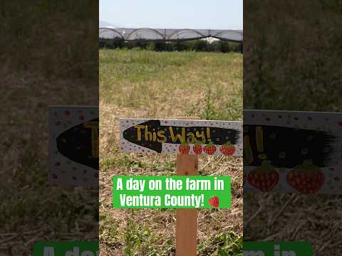 thanks-to-carranza-and-mcgrath-family-farms-for-a-great-day-in-the-strawberry-fields.