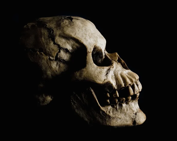 stunning-fossil-discovery-in-ethiopia-rewrites-human-origins