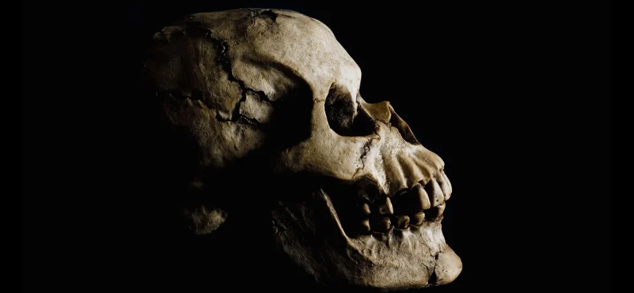 stunning-fossil-discovery-in-ethiopia-rewrites-human-origins