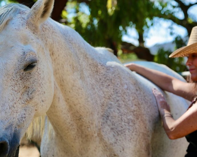 Grief getaways are on the rise—here are the retreats leading the way