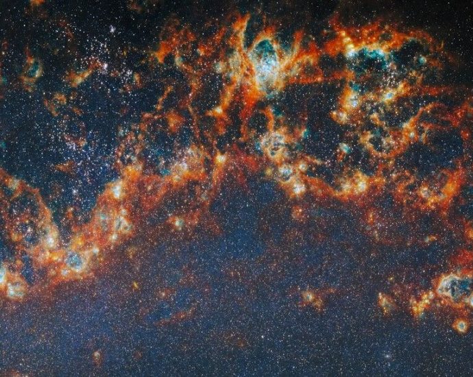 Webb and Hubble sink deep into the dazzling Whirlpool Galaxy — Space photo of the week
