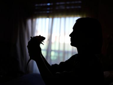 unwanted-lab-rats-find-new-homes-and-are-adopted-thanks-to-an-argentine-organization