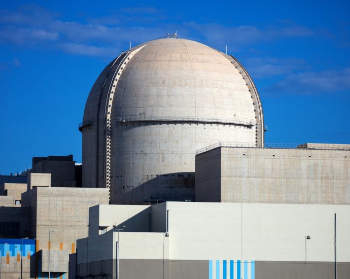 what-is-the-uae’s-barakah-nuclear-plant,-nearly-hit-by-a-drone?