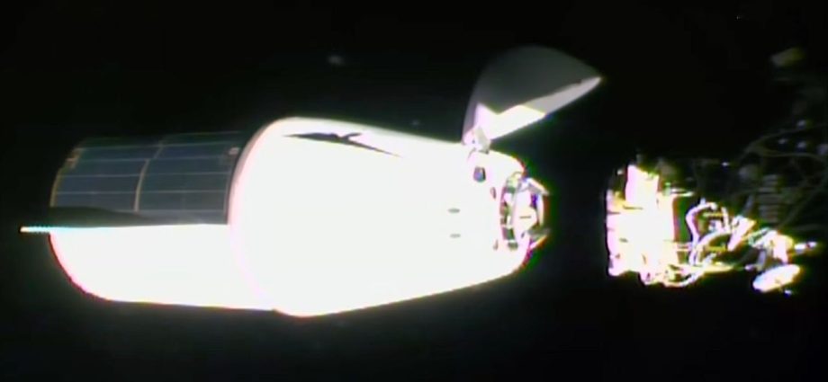 SpaceX Dragon capsule delivers science and supplies to space station