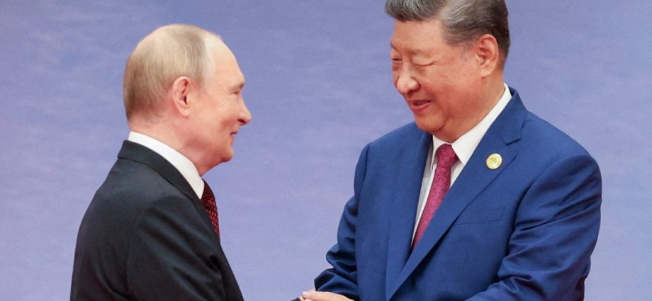 putin-meets-xi:-why-russia-and-china-need-each-other