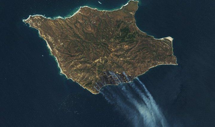 fire-chars-santa-rosa-island