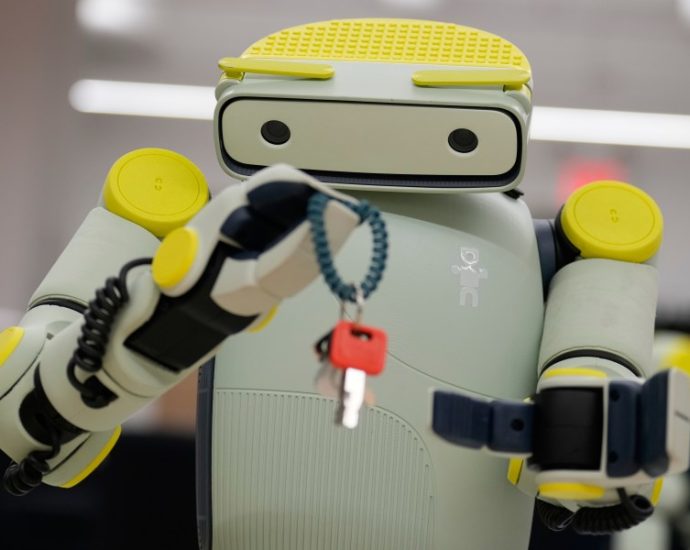 southwest-bans-humanoid-robots-from-all-flights