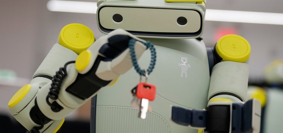 southwest-bans-humanoid-robots-from-all-flights