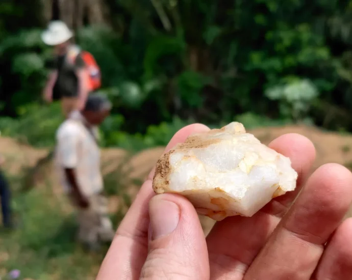 lost-for-150,000-years:-rainforest-discovery-upends-human-history