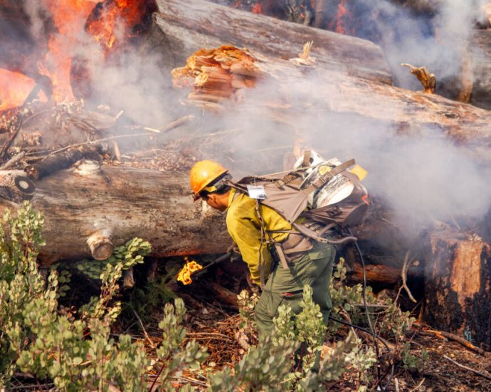 prescribed-burns-and-forest-thinning-averted-millions-of-tons-of-emissions-and-billions-in-damages