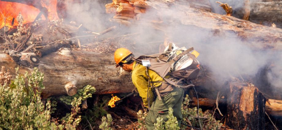 prescribed-burns-and-forest-thinning-averted-millions-of-tons-of-emissions-and-billions-in-damages