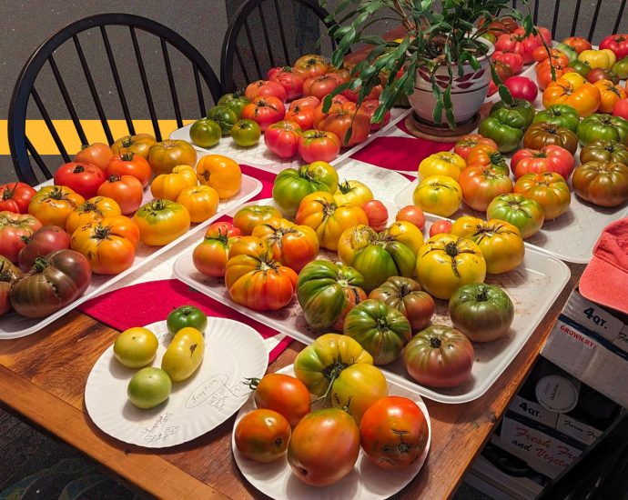 rotten-tomato-prices-put-a-squeeze-on-summer-meals