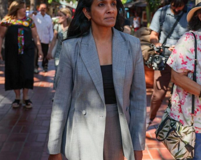 mayoral-candidate-raman-unveils-rebuilding-plan-for-pacific-palisades
