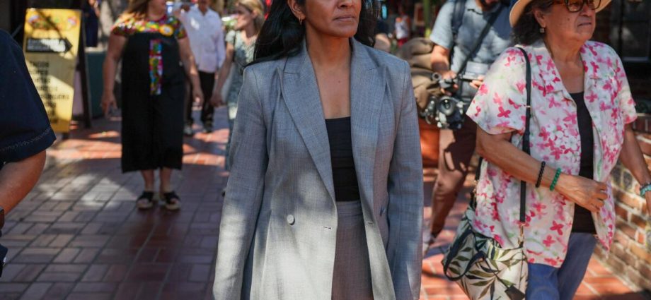 mayoral-candidate-raman-unveils-rebuilding-plan-for-pacific-palisades
