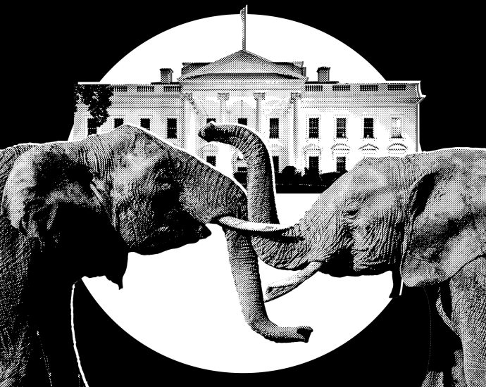it’s-officially-election-season-in-trumpenfuhrerworld