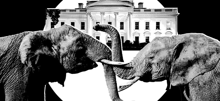 it’s-officially-election-season-in-trumpenfuhrerworld