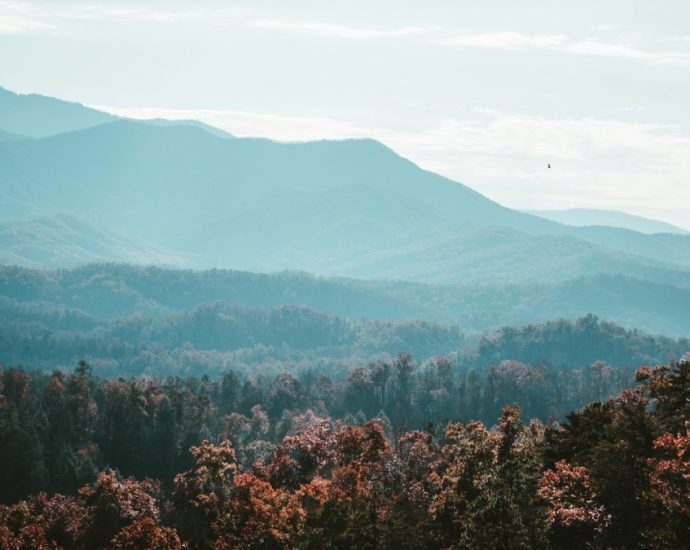 Appalachian Region Could Hold Key to U.S. Battery Supply Chain Independence