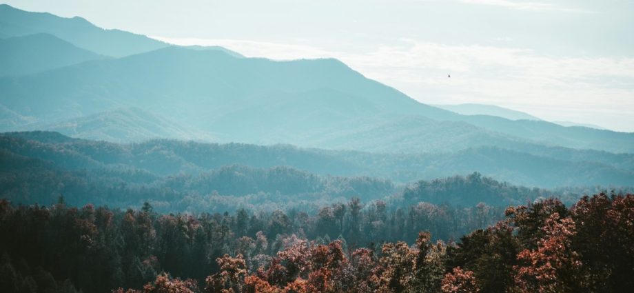 Appalachian Region Could Hold Key to U.S. Battery Supply Chain Independence
