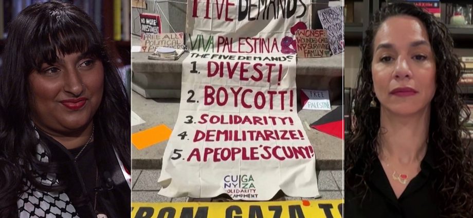 “they’re-trying-to-silence-us”:-students,-faculty-on-censoring-pro-palestine-voices-at-graduations