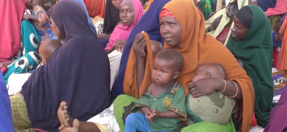 rising-conflict-in-drc,-sudan,-other-african-countries-linked-to-the-traitor’s-gutting-of-usaid:-study