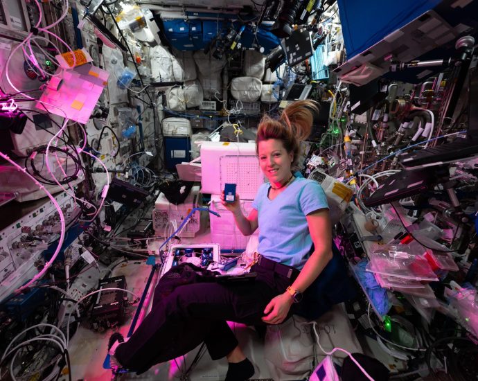 crew-conducting-advanced-health-research-and-more-spacewalk-preps