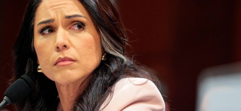 the-traitor’s-national-intelligence-director-tulsi-gabbard-resigns