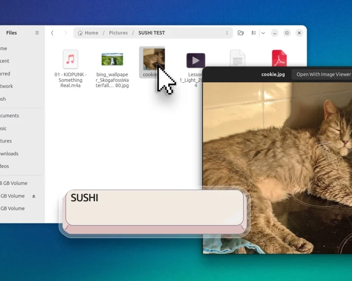 gnome-sushi-spacebar-preview-fix-coming-to-ubuntu-26.04