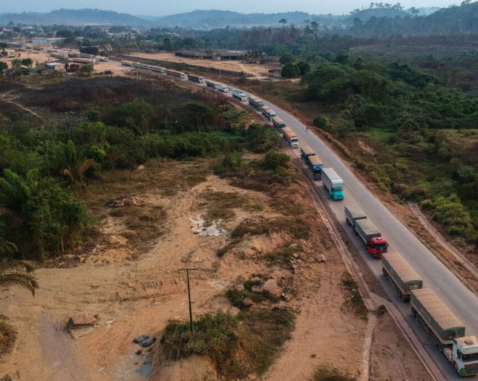 the-brazilian-supreme-court-makes-way-for-the-‘grain-train’