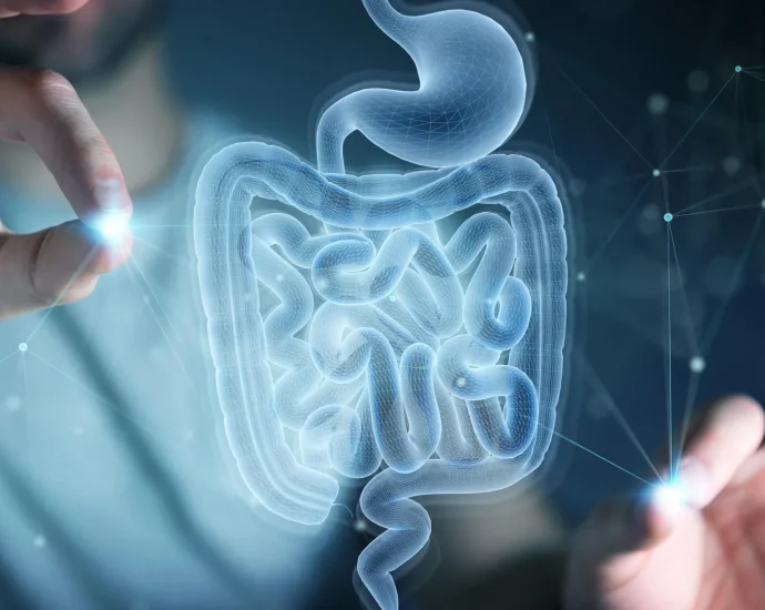 mit-scientists-discover-amino-acid-that-helps-the-gut-heal-itself