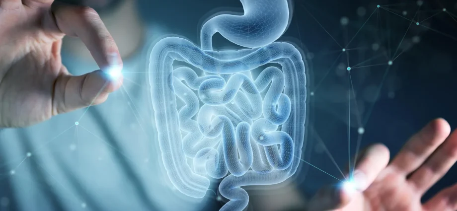 mit-scientists-discover-amino-acid-that-helps-the-gut-heal-itself