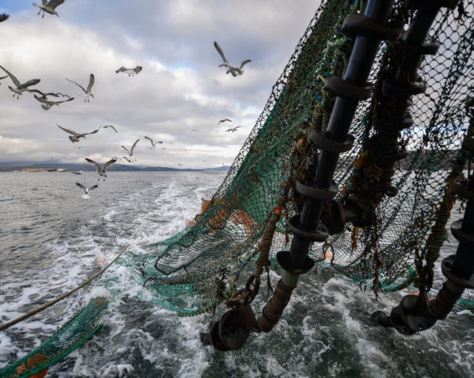 federal-law-requires-us-seafood-imports-to-not-threaten-marine-mammals-a-lawsuit-is-pushing-the-government-to-finally-act.