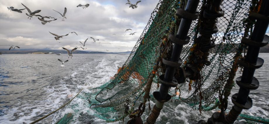 federal-law-requires-us-seafood-imports-to-not-threaten-marine-mammals-a-lawsuit-is-pushing-the-government-to-finally-act.