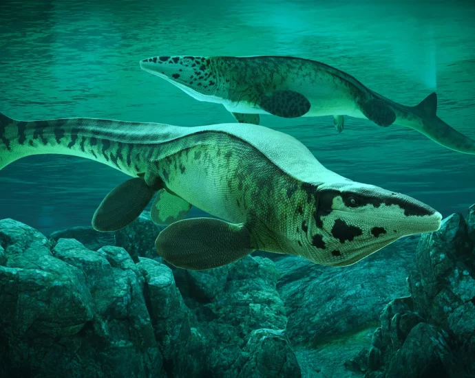 scientists-discover-giant-sea-predator-tylosaurus-rex-that-terrorized-ancient-oceans