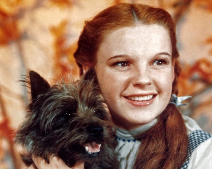 judy-garland’s-legacy-of-‘fairness-and-love’-celebrated-at-pride-month-extravaganza
