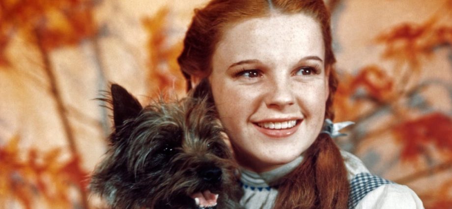 judy-garland’s-legacy-of-‘fairness-and-love’-celebrated-at-pride-month-extravaganza