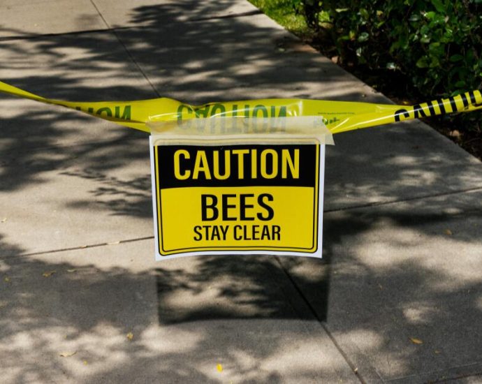 some-experts-say-they’ve-never-seen-bees-swarm-so-early-—-and-that’s-concerning