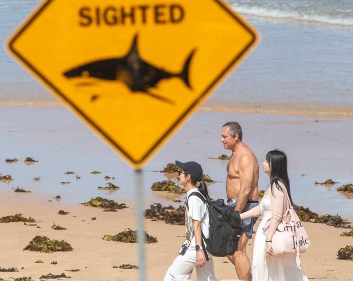man-dies-in-northeast-australia-after-shark-attack