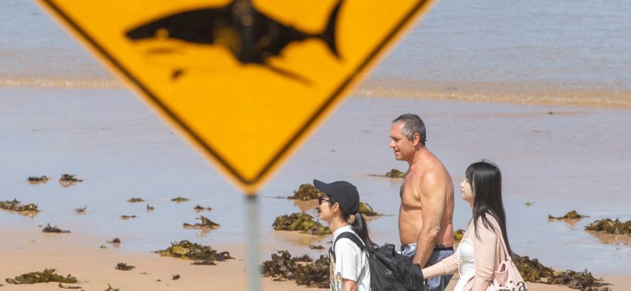 man-dies-in-northeast-australia-after-shark-attack
