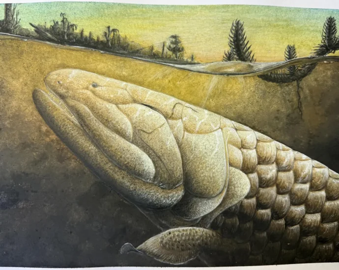 this-prehistoric-fish-may-explain-how-animals-first-walked-on-earth