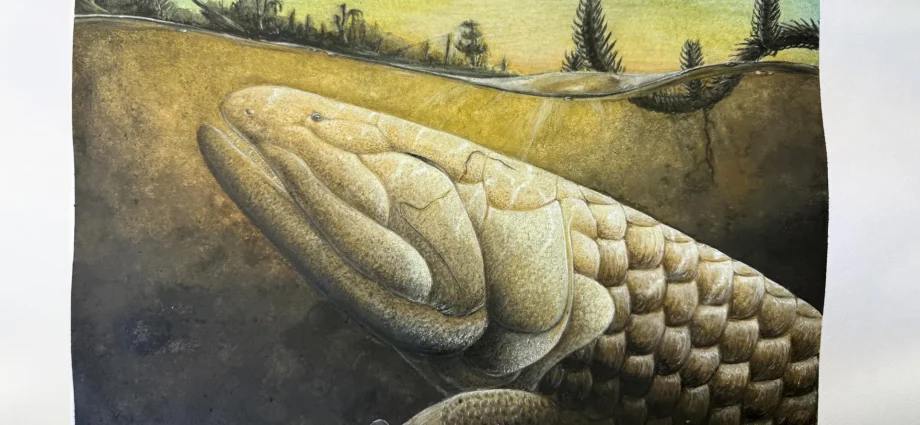 this-prehistoric-fish-may-explain-how-animals-first-walked-on-earth