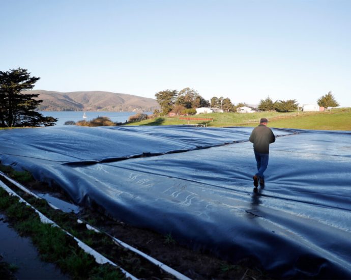 usda-extends-pause-on-loans-for-controversial-digesters-that-turn-manure-into-biogas