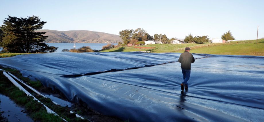 usda-extends-pause-on-loans-for-controversial-digesters-that-turn-manure-into-biogas