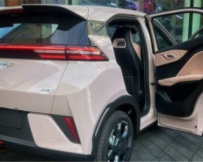 Why Many Nigerians Are Buying Electric Vehicles