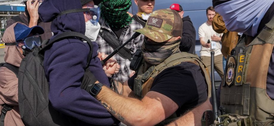 ice-agents-use-pepper-spray-on-protesters-outside-detention-centre
